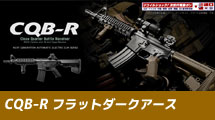 ����ޥ륤��������ư����CQB-R